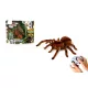 Távirányítós pók dobozban - elemes - Tarantula