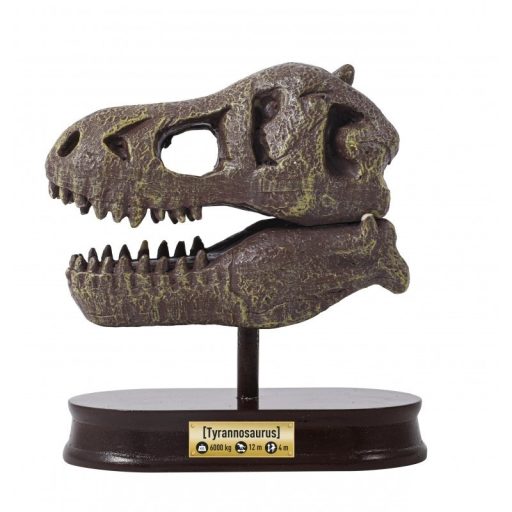 Tyrannosaurus Koponya Felfedező Készlet - Buki