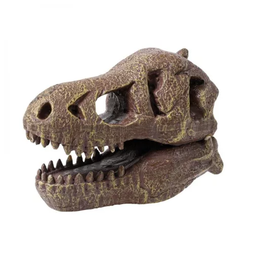Tyrannosaurus Koponya Felfedező Készlet - Buki