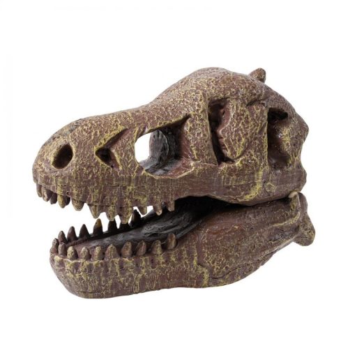 Tyrannosaurus Koponya Felfedező Készlet - Buki