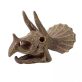 Triceratops Koponya Felfedező Készlet - Buki