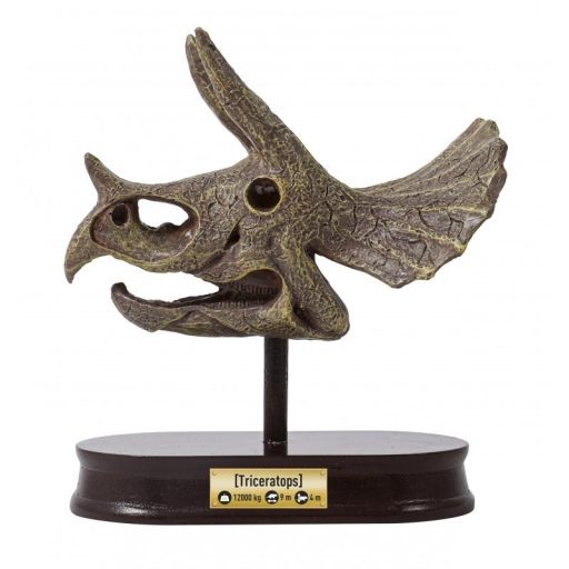 Triceratops Koponya Felfedező Készlet - Buki