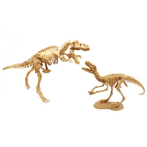 Felfedező Készlet - T-Rex és Velociraptor - Buki