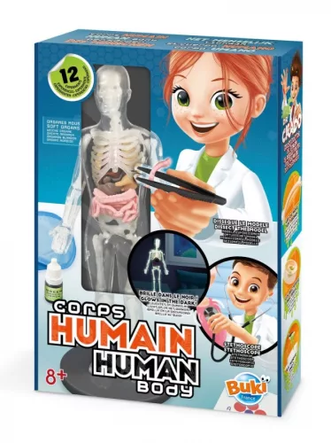 Tudományos Készlet - Az Emberi Test - Buki
