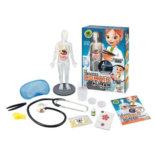 Tudományos Készlet - Az Emberi Test - Buki