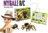 Távirányítós Pók Tarantula - Buki