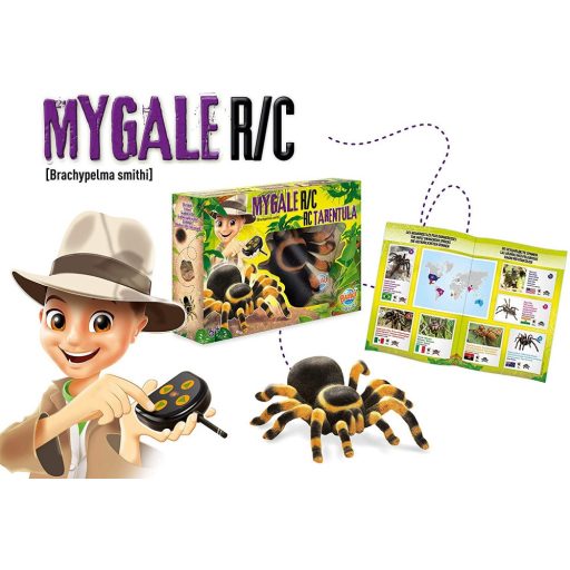 Távirányítós Pók Tarantula - Buki