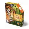 Wow Puzzle 550 db - Tigris