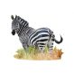 WOW Puzzle 1000 db - Zebra