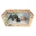 Comansi Little Wild dzsungel figura 3 db-os szett