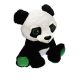 Zöld szemű panda