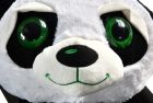 Zöld szemű panda