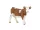 Papo Simmental tehén 51133