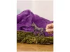 Schleich Peruano csikó