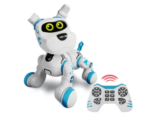 Bobby a robotkutya