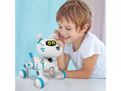 Bobby a robotkutya