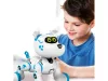 Bobby a robotkutya