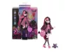 Monster High baba - Draculaura