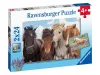 Ravensburger Puzzle 2x24 db - Lovak