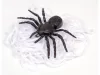 Halloween pókháló dekoráció 152 cm