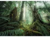 Ravensburger Puzzle 1000 db - Fák