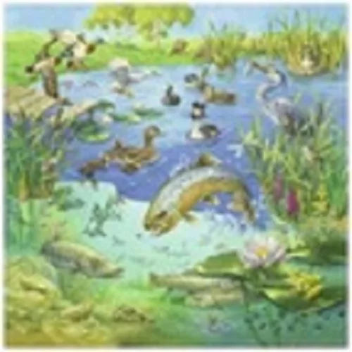 Állatok és élőhelyük 3 x 49 darabos puzzle