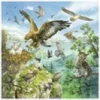 Állatok és élőhelyük 3 x 49 darabos puzzle