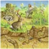 Állatok és élőhelyük 3 x 49 darabos puzzle