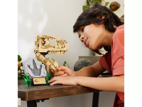 LEGO Jurassic World 76964 Dinoszaurusz maradványok: T-Rex koponya