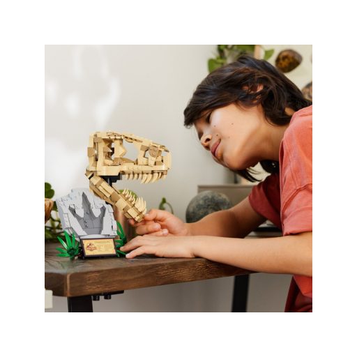 LEGO Jurassic World 76964 Dinoszaurusz maradványok: T-Rex koponya