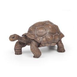 Papo: Galapagosi teknõs