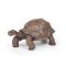 Papo: Galapagosi teknõs