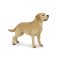Papo: Labrador