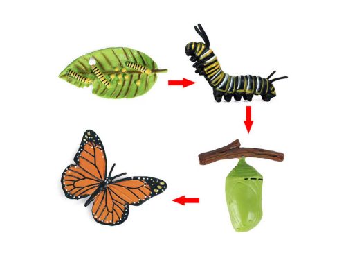 Tudományos oktató – figurakészlet