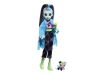 Monster High Creepover party baba - Frankie