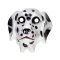 Dalmata maszk