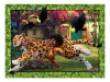 Ravensburger Puzzle 4in1 - Encanto