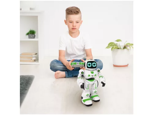 Bionic - programozható robot