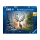Puzzle 1000 db - Varázslatos szarvas
