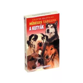 A kutyák