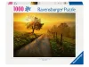 Puzzle 1000 db - Napkelte