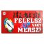 Felelsz vagy mersz felnõtt társasjáték