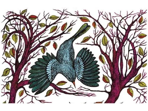 A cinege cipõje diafilm 34101397