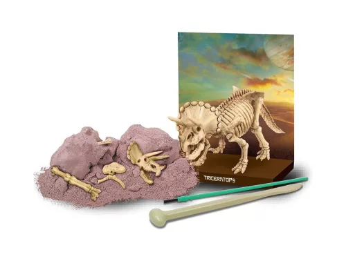 4M dinoszaurusz régész készlet-Triceratops