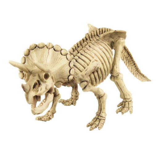 4M dinoszaurusz régész készlet-Triceratops