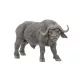 Papo: Afrikai bölény
