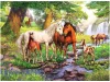Ravensburger: Puzzle 300 db - Vadlovak