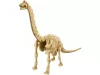 4M dinoszaurusz régész készlet - Brachiosaurus