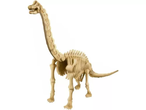 4M dinoszaurusz régész készlet - Brachiosaurus