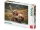 Puzzle 500 db - Csacsi